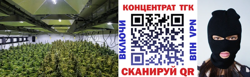 hydra ссылка  маркетплейс Telegram  Нефтеюганск  Дистиллят ТГК THC oil  продажа наркотиков 