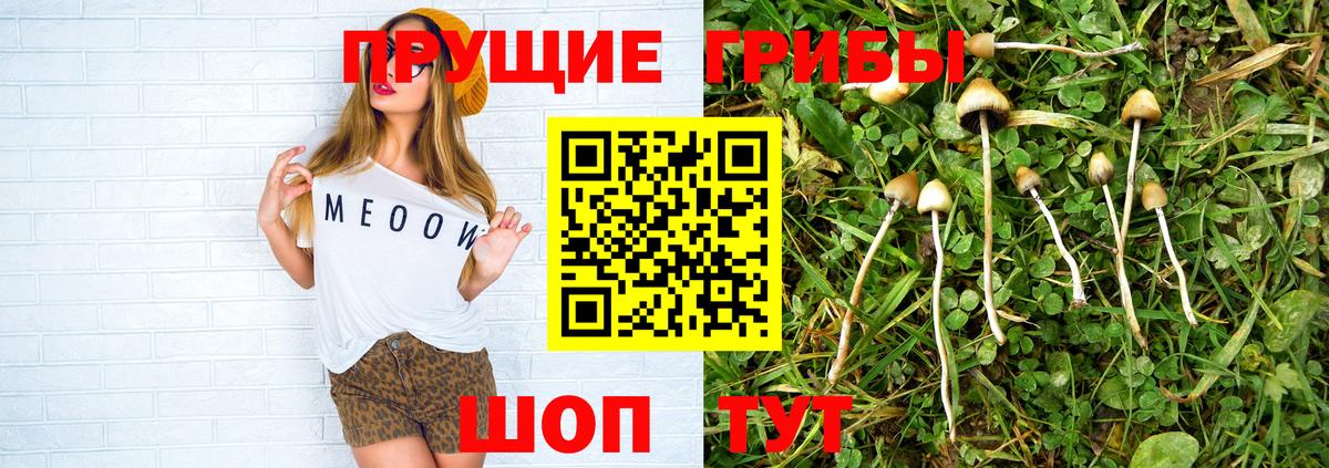 Галлюциногенные грибы Cubensis  Вход с VPN  Галлюциногенные грибы мухоморы  Нефтеюганск 
