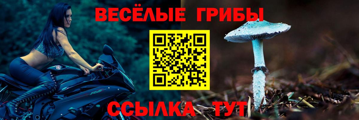 Псилоцибиновые грибы ЛСД Нефтеюганск